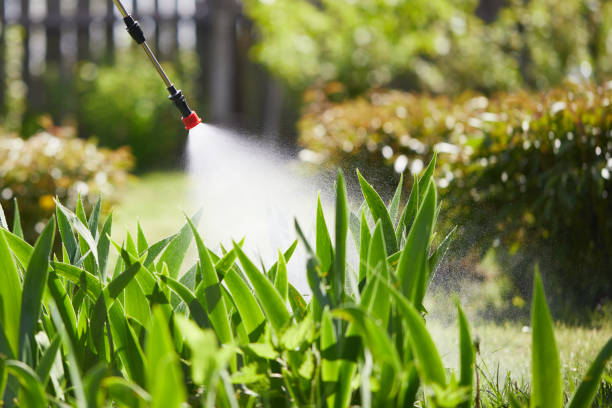 24/7 Emergency Mosquito Control experts in Royal Kunia, HI