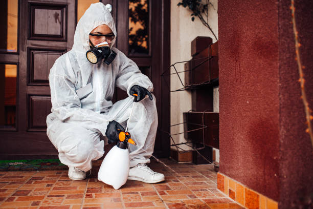 Reliable Mosquito Control contractor in Royal Kunia, HI by Show Me Pest Control